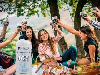 Ice Processing and distribution business with Freehold, & extensive Plant & Equipment included