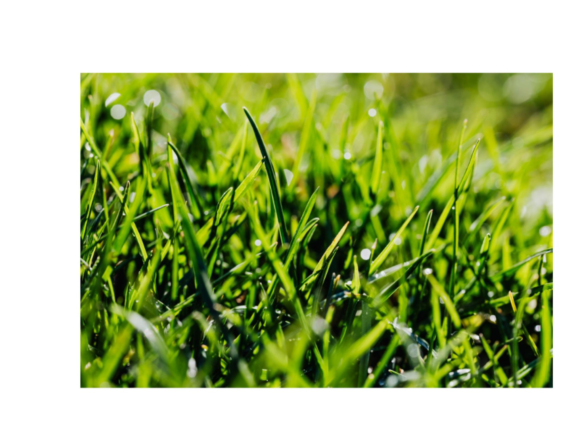 Mowing Part Time Run 678451 2