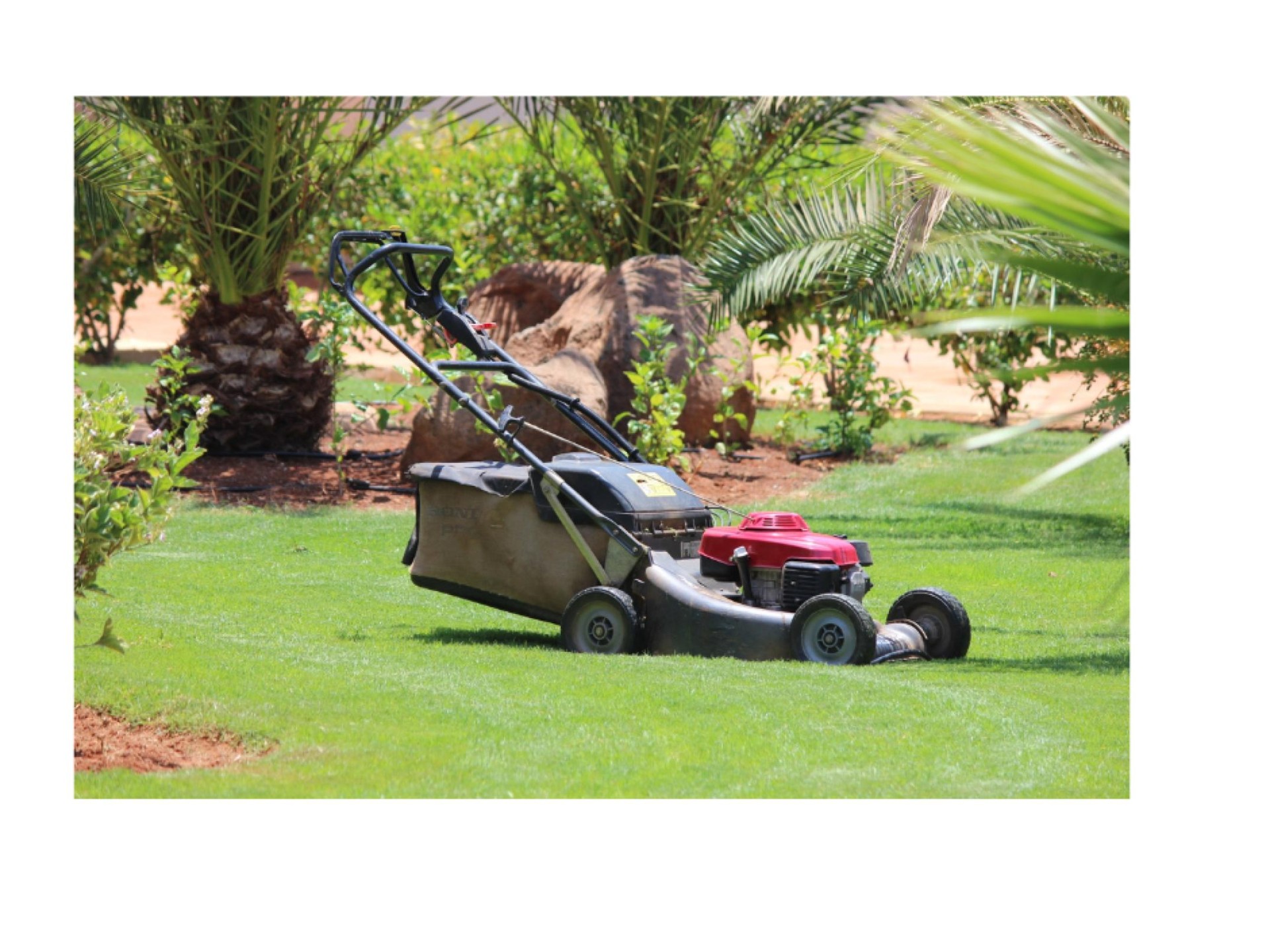 Mowing Part Time Run 678451 3