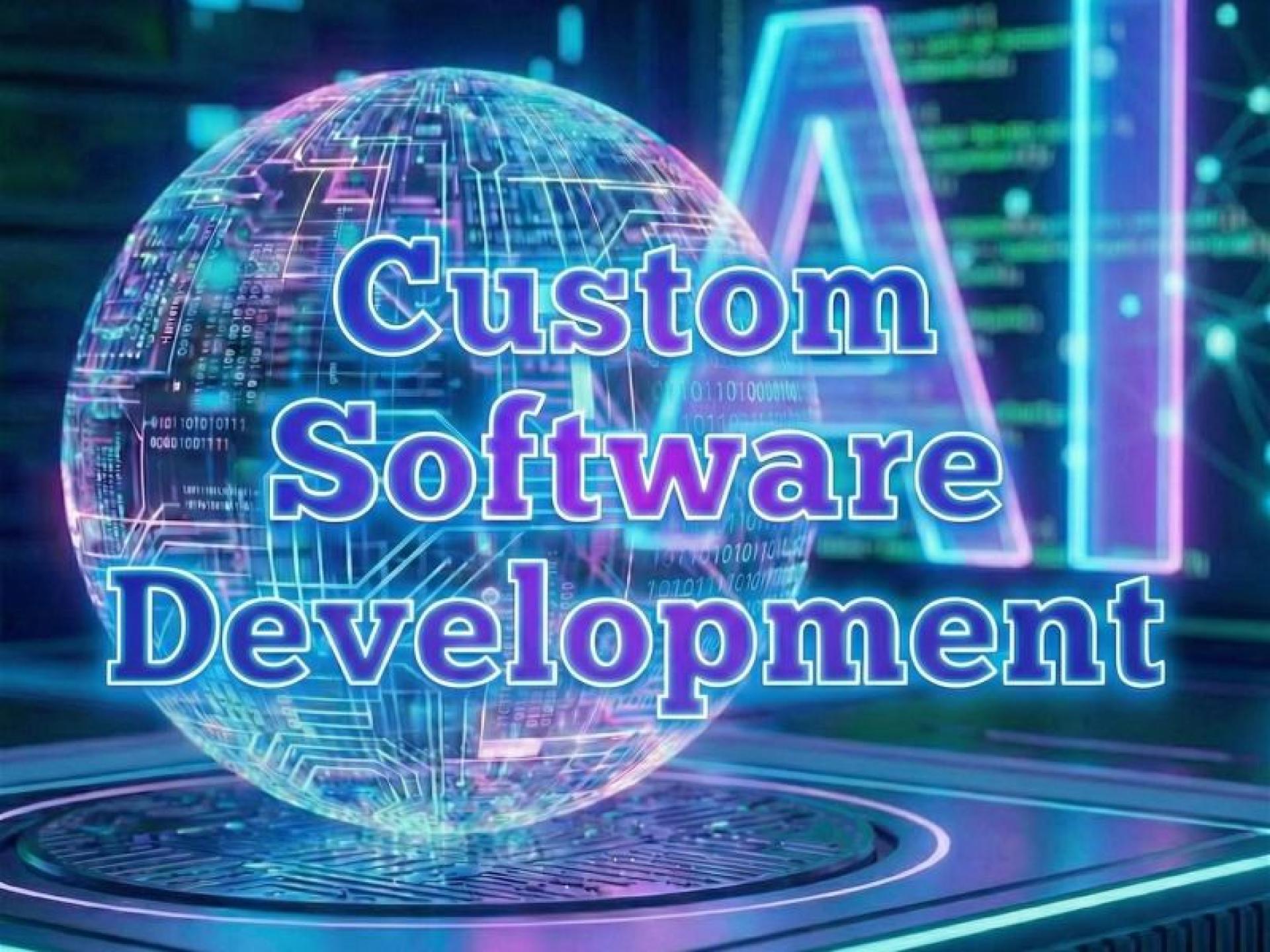Custom Software Development Business 677038 1