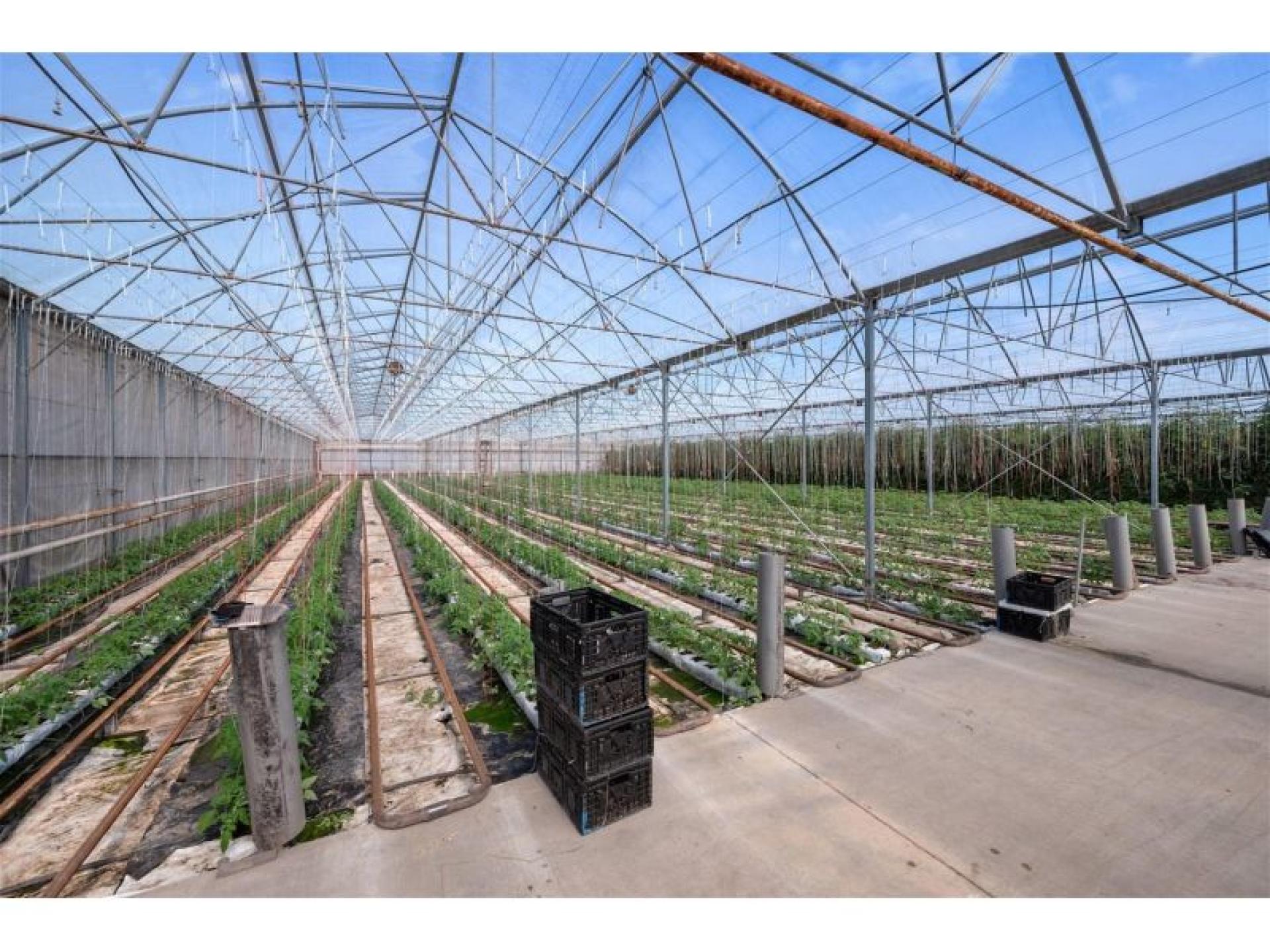 Hydroponic Vegetable Crop Farm 678472 2