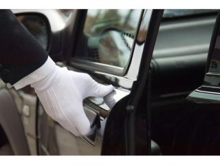 ~$900K Revenue + ~$200K Forward Bookings - Premium Wedding Transport Business