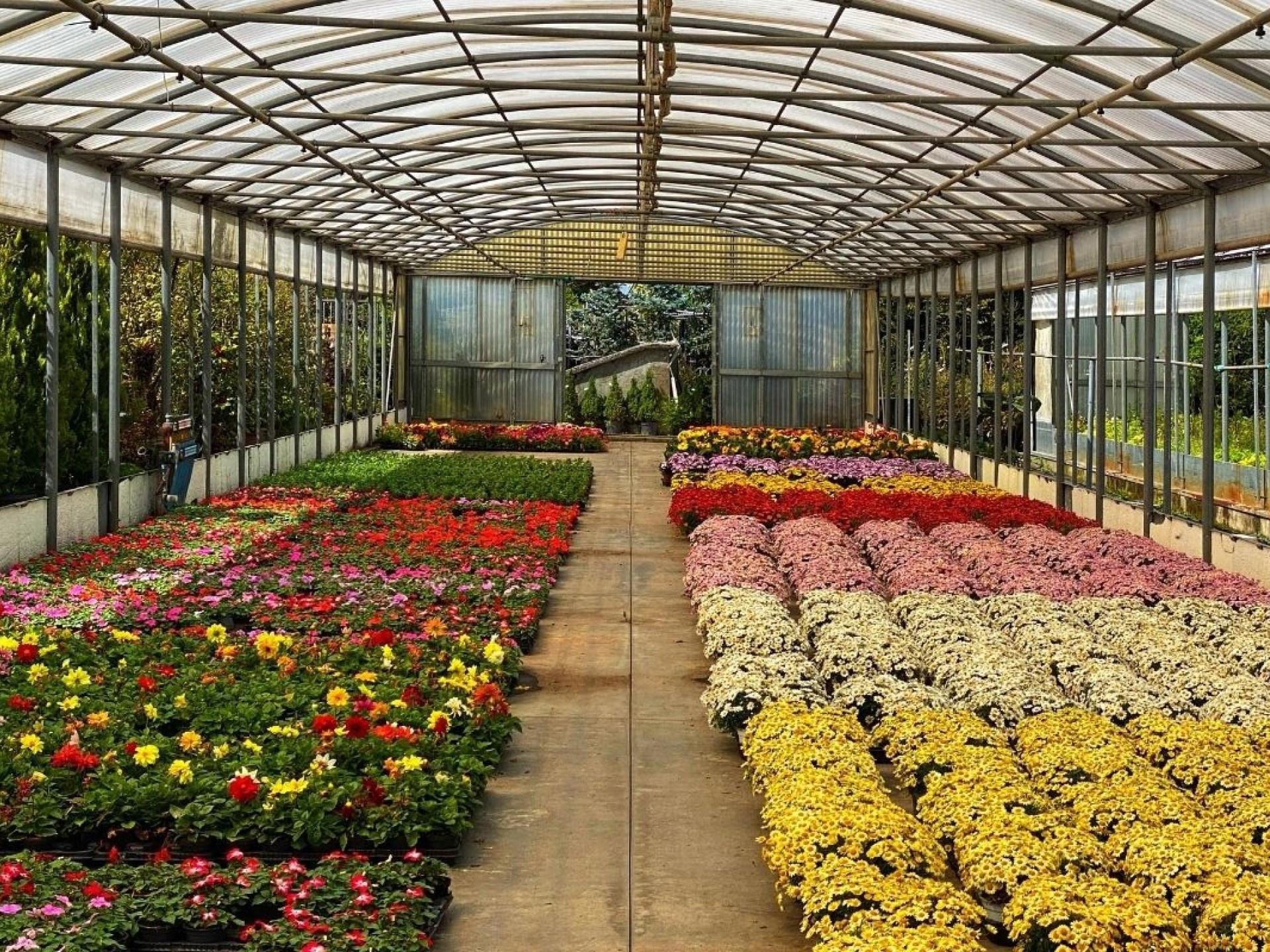 Horticulture Nursery And Agriculture 682288 2