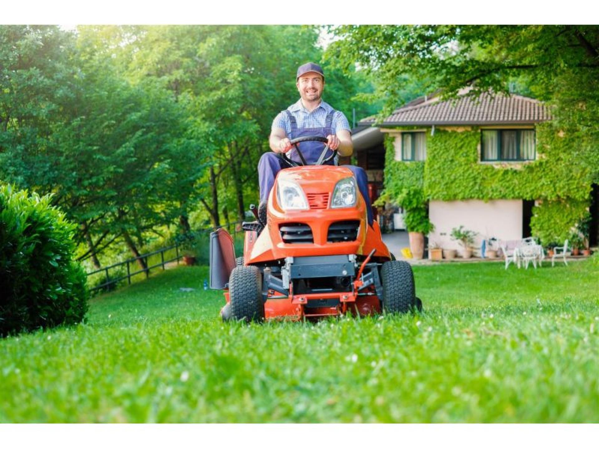 Long Established Lawn And 683364 1
