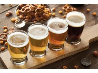 Hobby Brewing Retail Business - Brisbane Northside