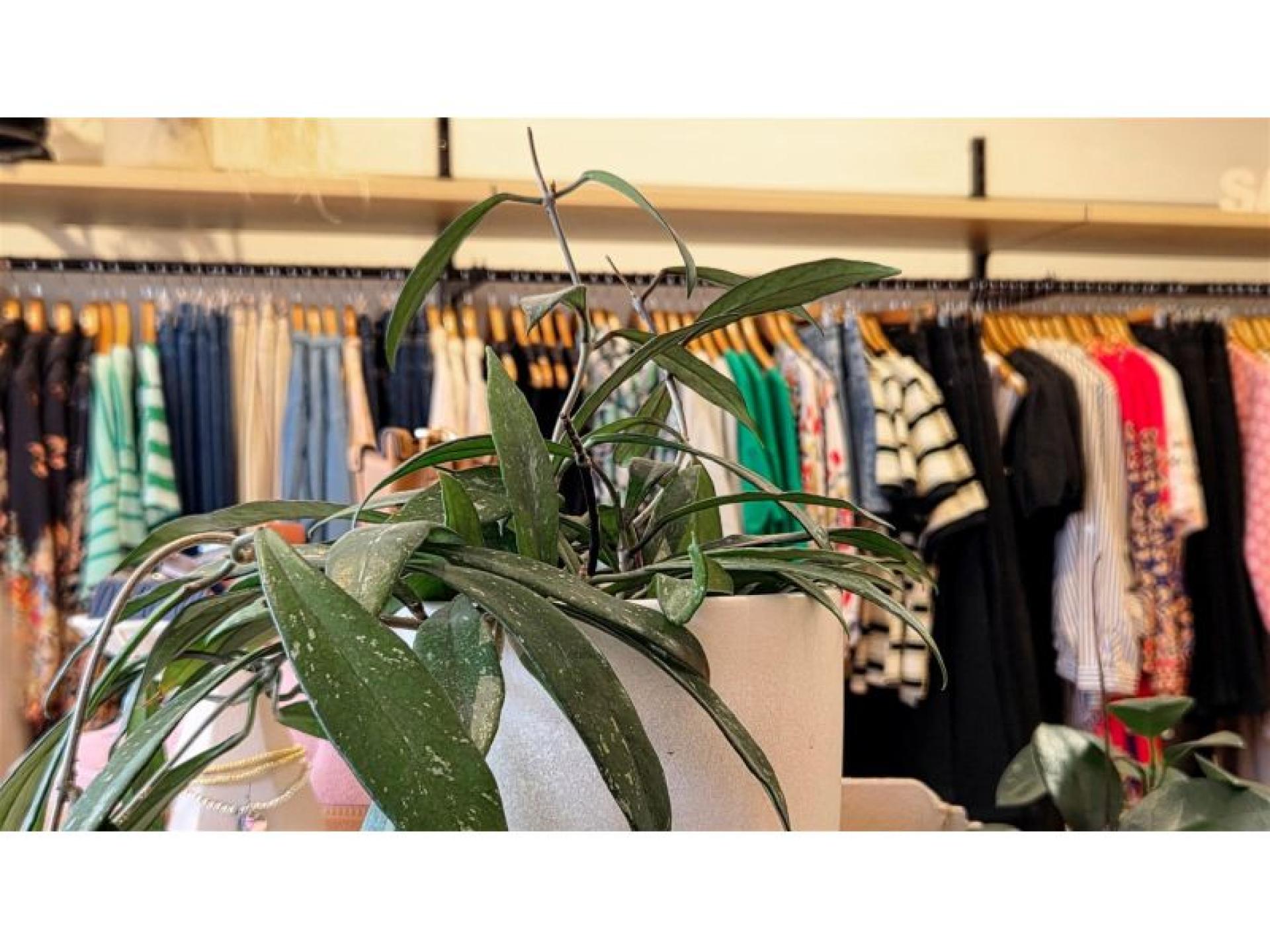 Fashion Boutique - Flexible 670663 3