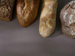 Bakery Products Distributor with Loyal Customer Base