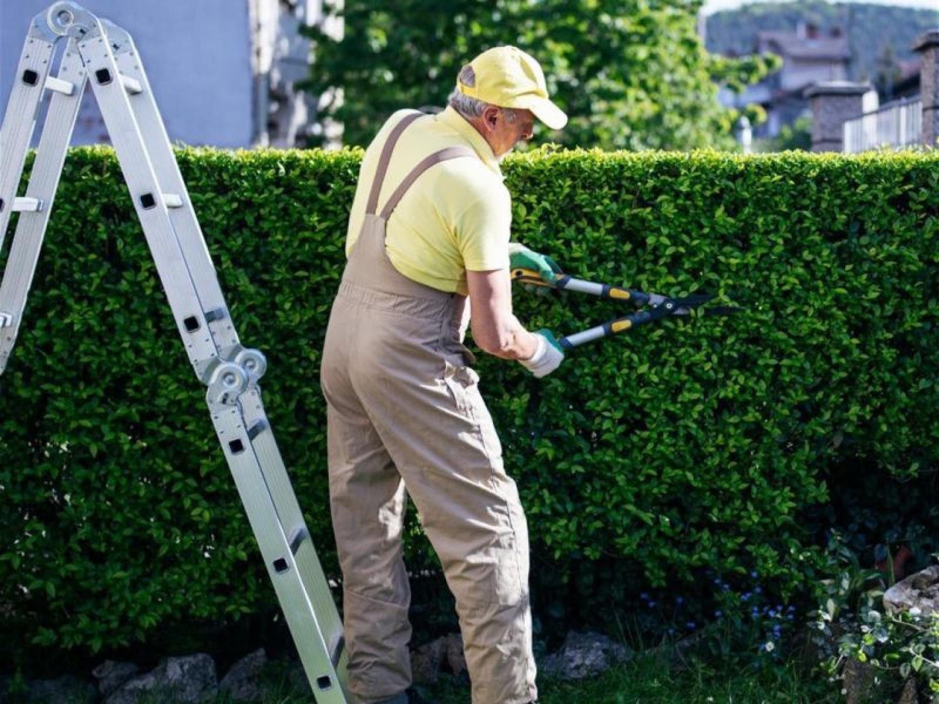 Horticultural Garden Maintenance Business 685243 3