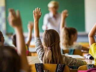 Unique, Import, Wholesale/Distribution and Online School Products Business #424