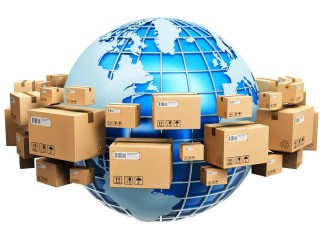 DOMINATING OEM GLOBAL SUPPLIER BUSINESS FOR SALE