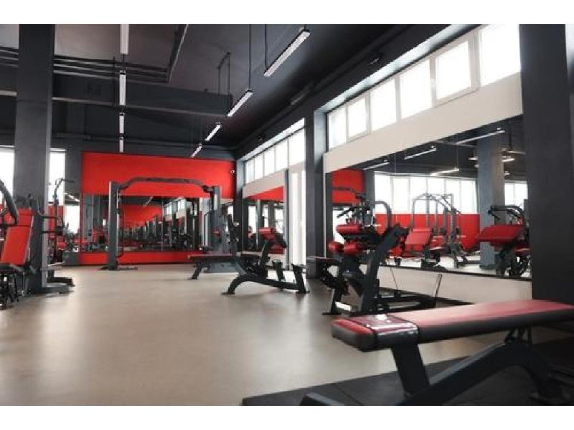 High Potential Functional Fitness 684996 1