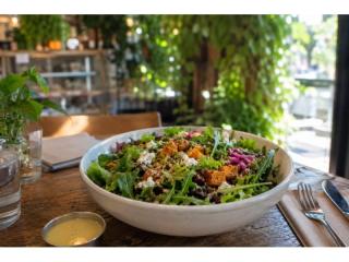 Established Health & Wellness Retail Group | Multi-Location