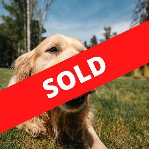 36479 Established Pet Food 675870 1