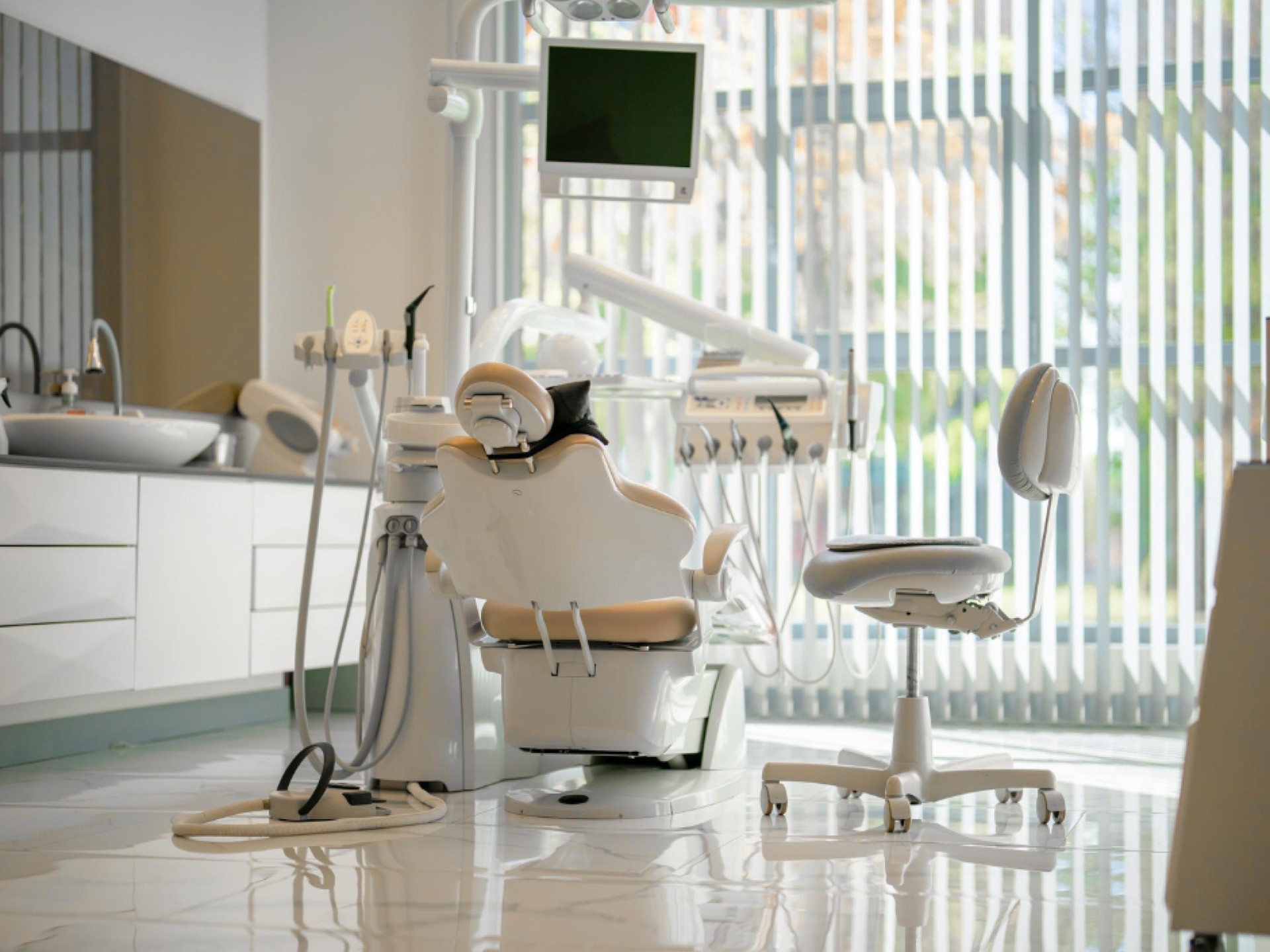 Established Holistic Dental Practice 678993 1