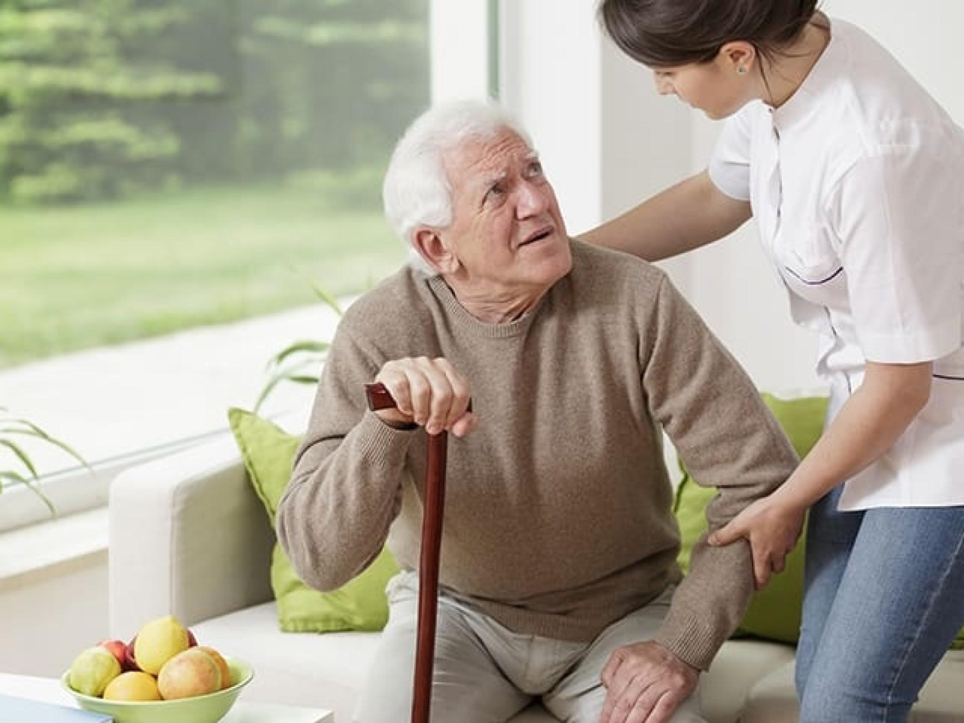 Well Established Ndis/disability Registered 682381 2