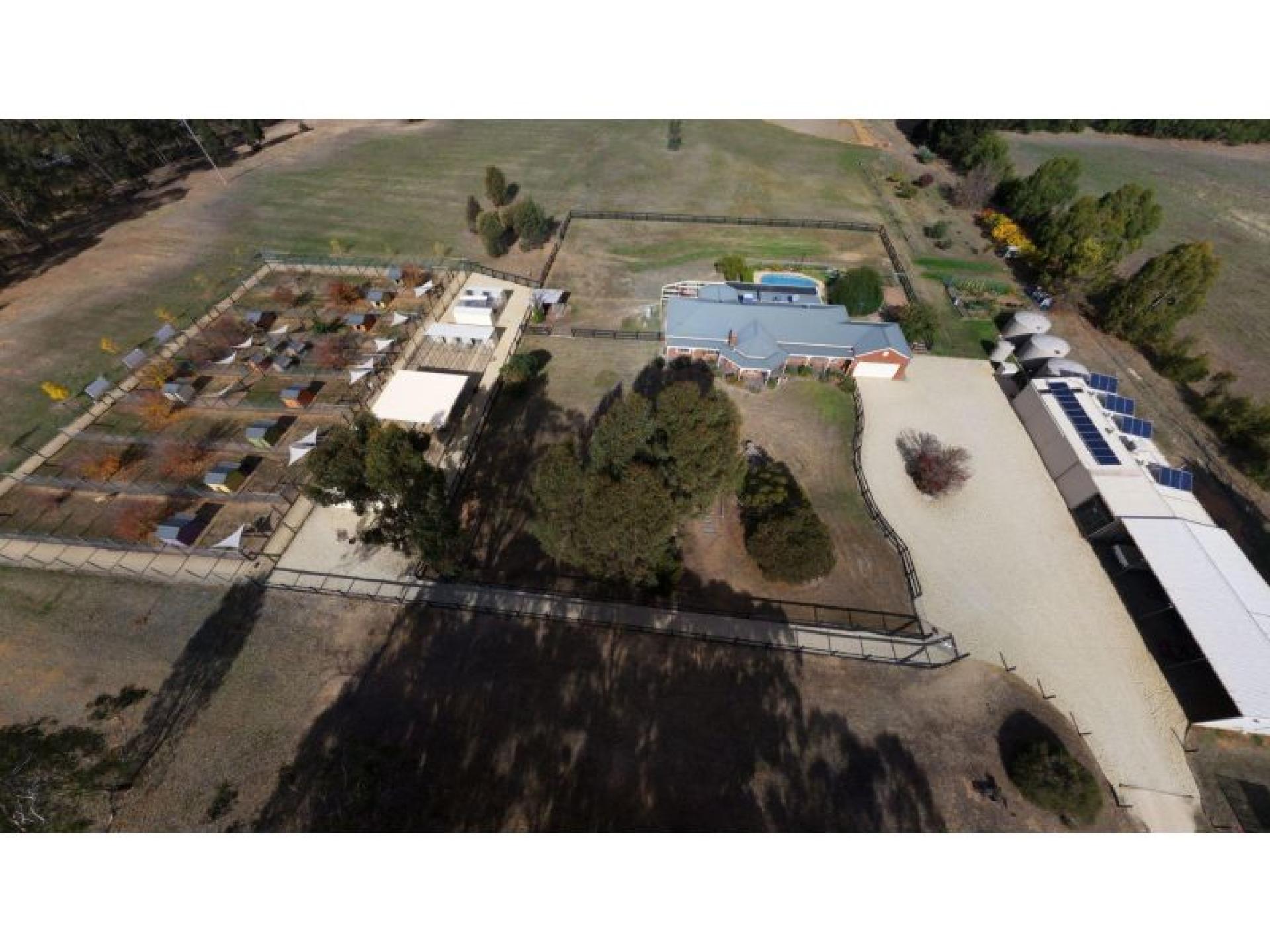 Licensed 30-dog Facility With 677461 1