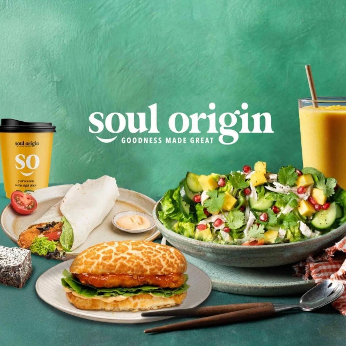 Soul Origin Franchise For 682751 1