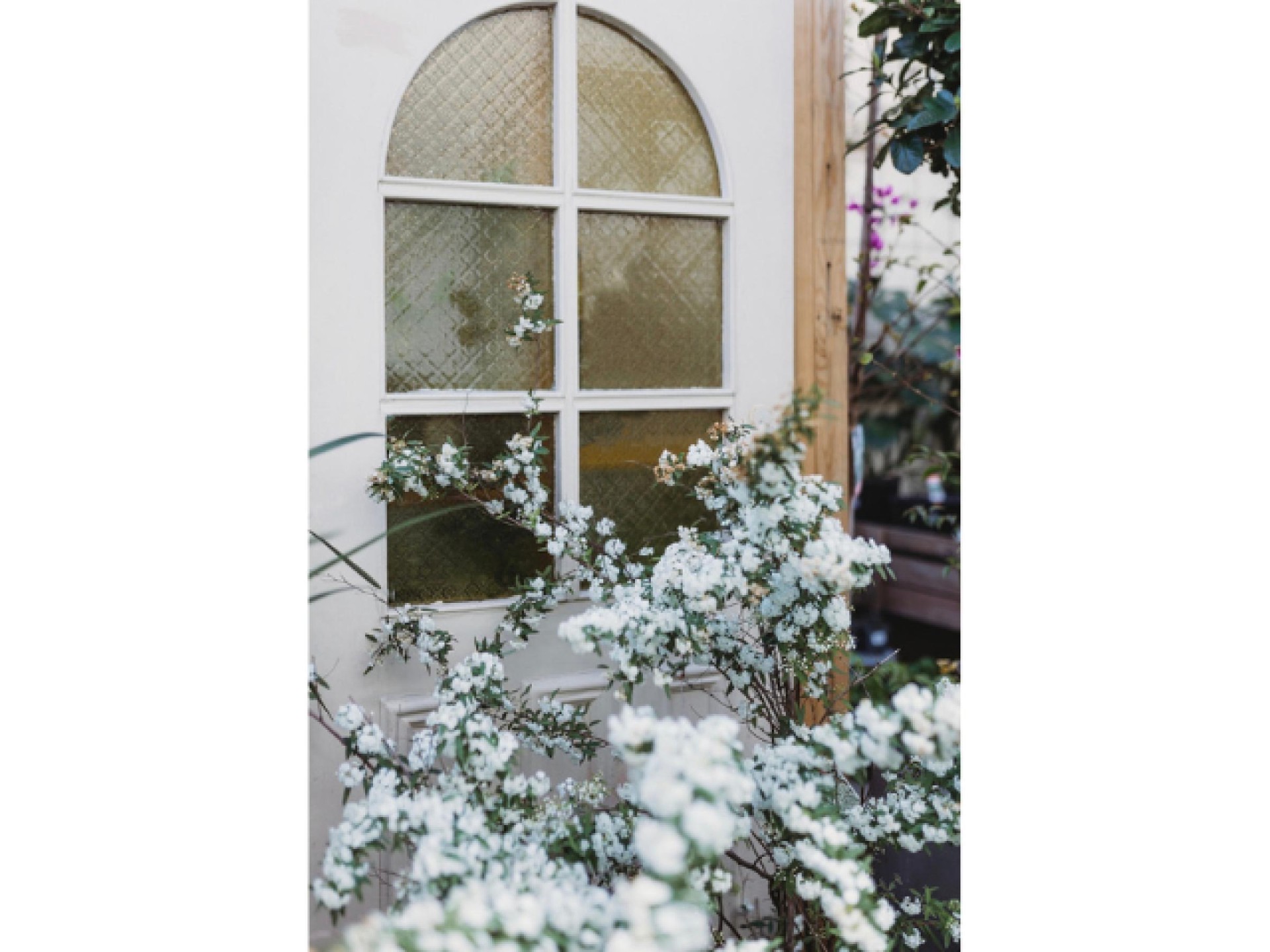 Boutique Plant & Giftware 680880 2