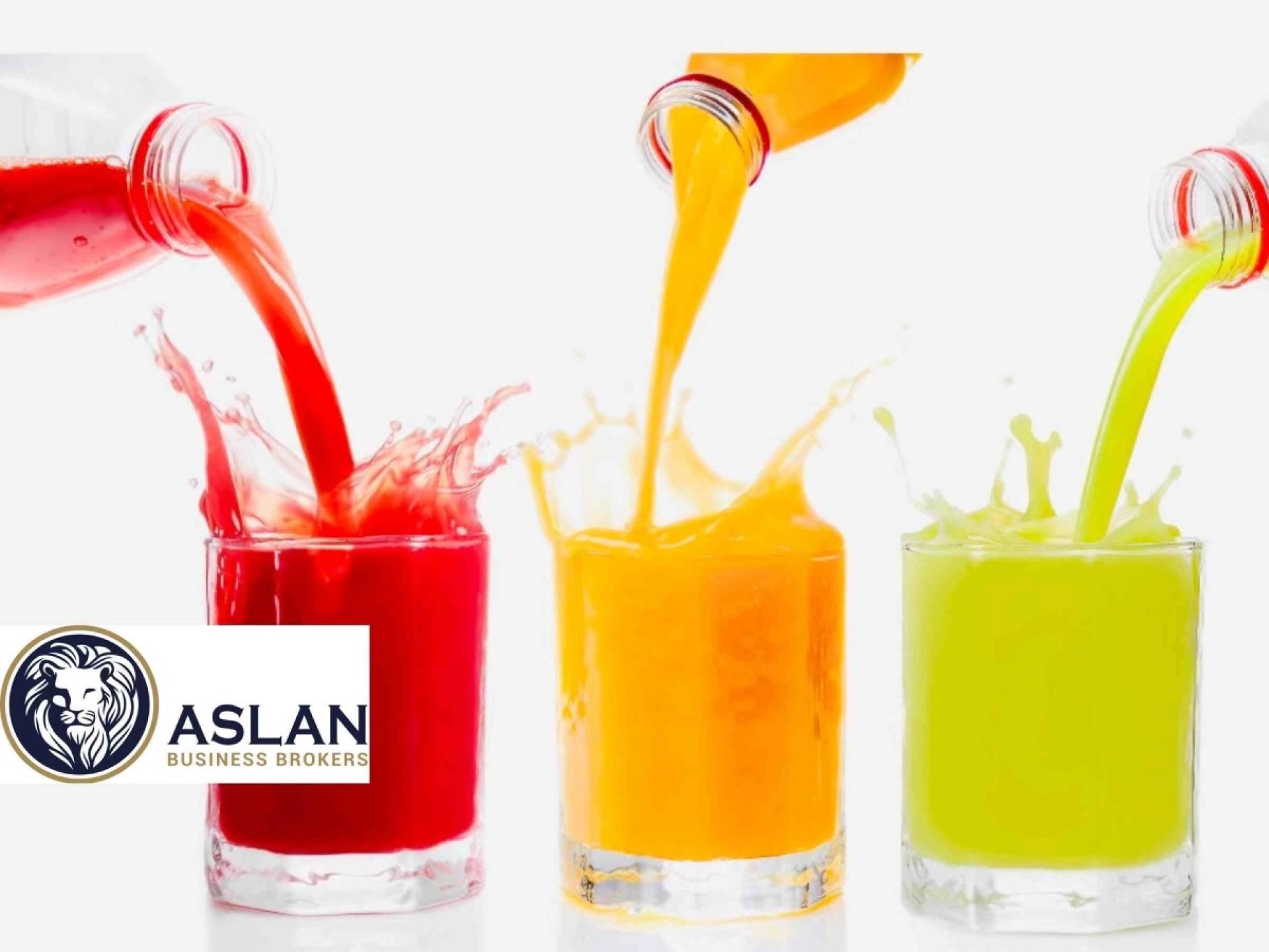 Smoothies & Wraps Business 685227 3