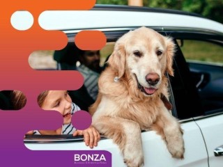 36452 Profitable Online Business - eCommerce in Premium Pet Niche