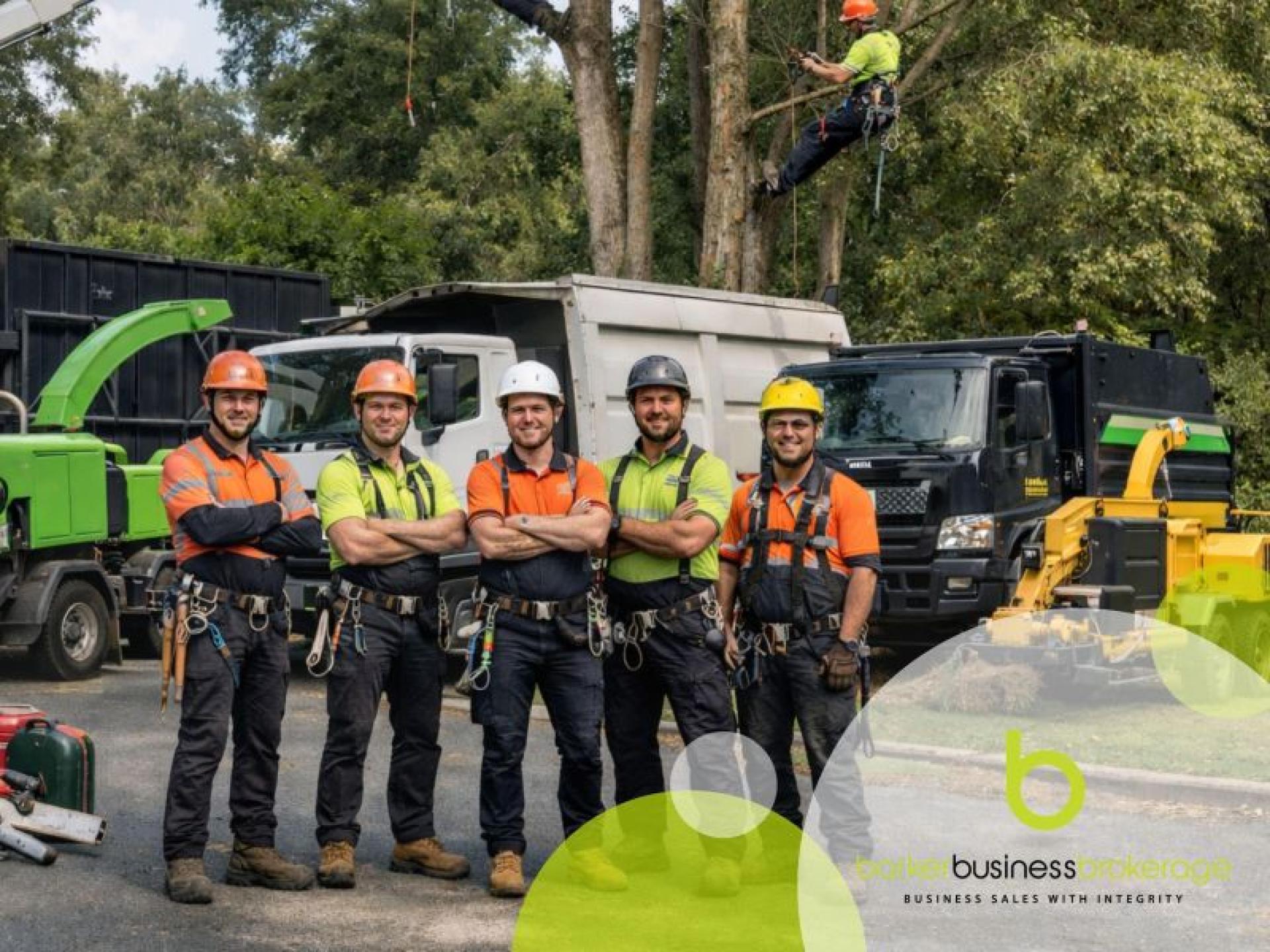 Successful Tree Maintenance Business 672340 1