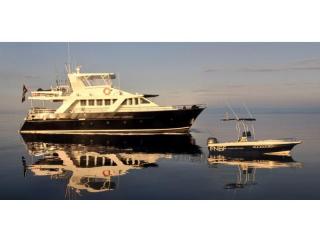 Sports Fishing Charter Business - Far North Queensland (DWBL1477)