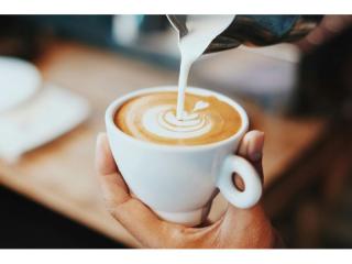 Stylish Fully Renovated Café in Prime Mornington Peninsula Location