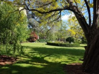 ESTABLISHED WHOLESALE NURSERY WITH FREEHOLD & LIFESTYLE RESIDENCE