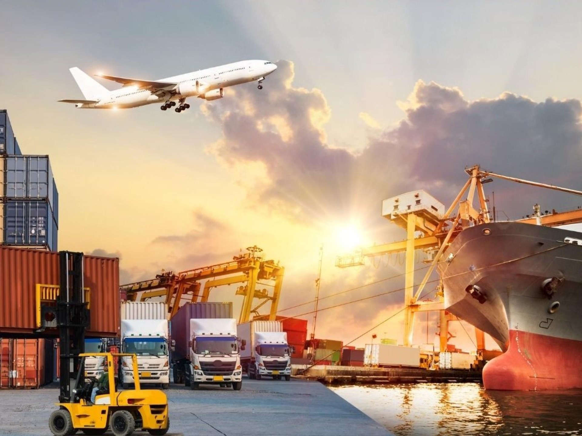 Established Australian Freight Forwarding 684286 1