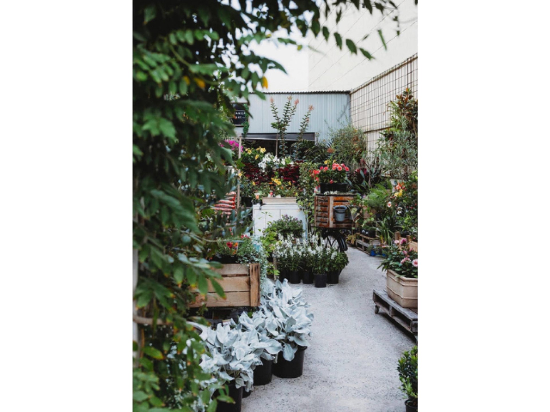 Boutique Plant & Giftware 680880 1