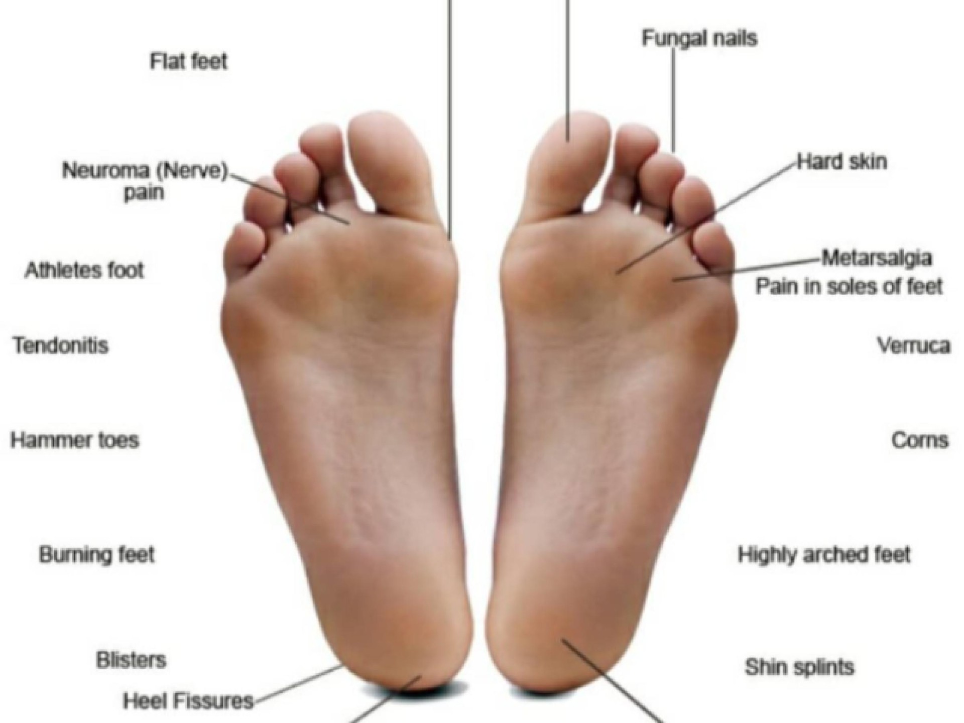 Thriving Allied Health Clinic 680197 2