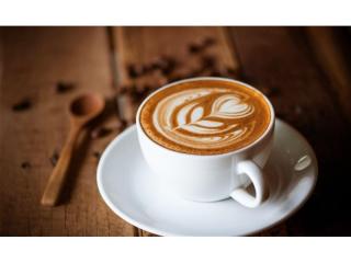 Cafe Dine In Catering Business for Sale in Casey Area