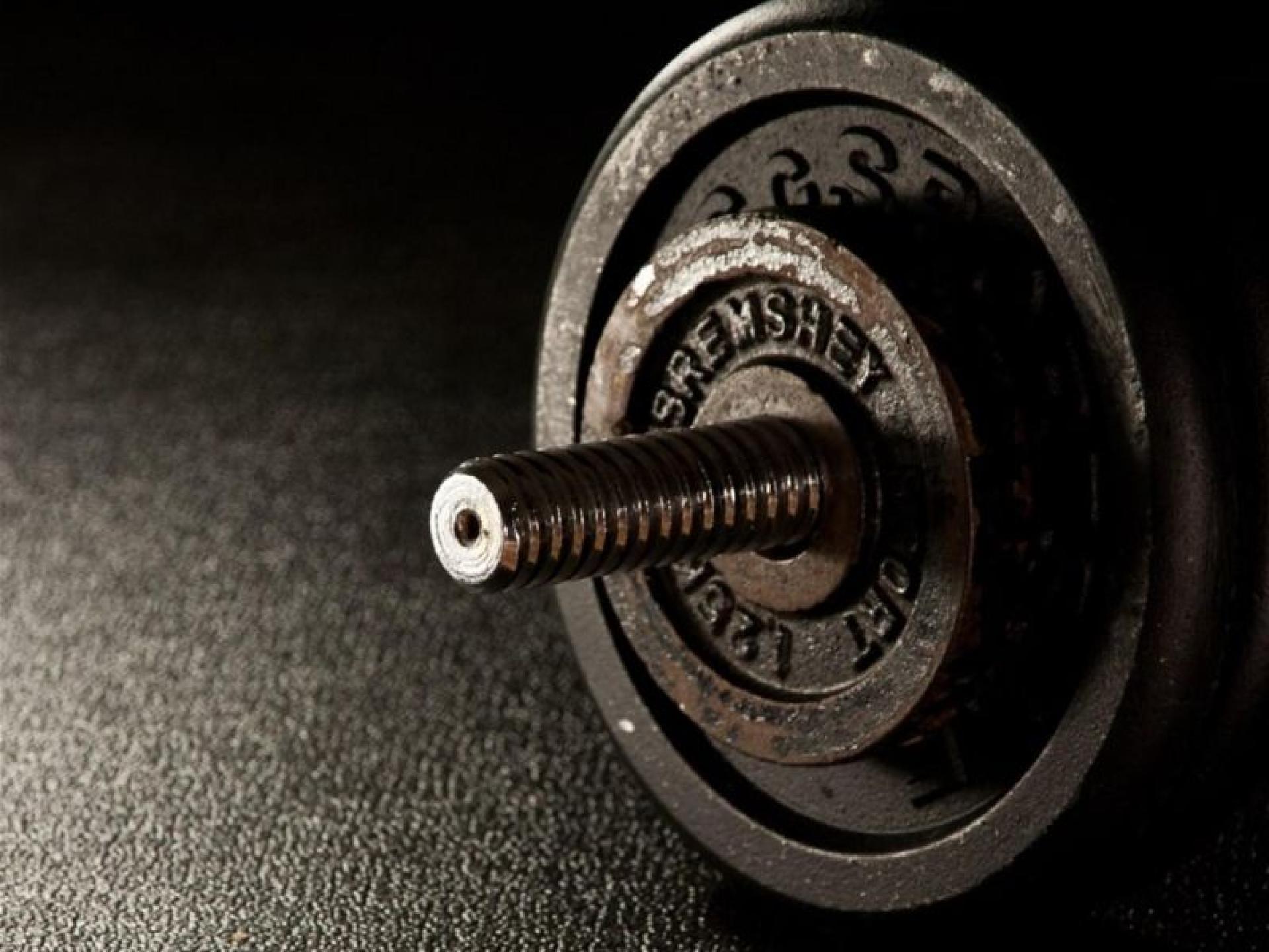 High Performance Gym Business 683249 2