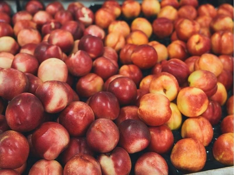 Profitable Fruit & Veg 680694 3