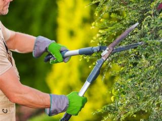 Horticultural Garden Maintenance Business