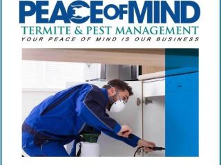 Established Termite & Pest Management Business Flexible, Mobile Operation. WIWO